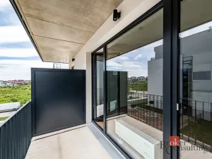 Prodej bytu 1+kk, Plzeň - Jižní Předměstí, Železná, 42 m2