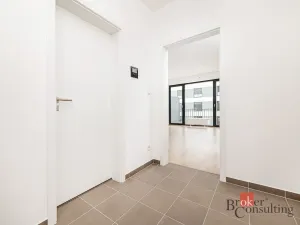 Prodej bytu 1+kk, Plzeň - Jižní Předměstí, Železná, 42 m2