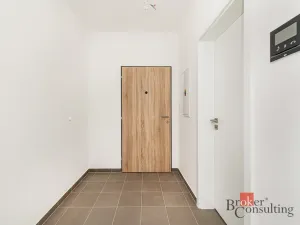 Prodej bytu 1+kk, Plzeň - Jižní Předměstí, Železná, 42 m2