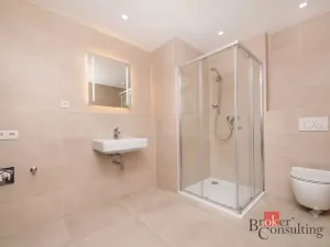 Prodej bytu 1+kk, Plzeň - Jižní Předměstí, Železná, 42 m2