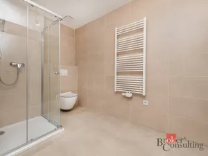Prodej bytu 1+kk, Plzeň - Jižní Předměstí, Železná, 42 m2