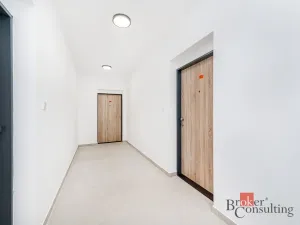 Prodej bytu 1+kk, Plzeň - Jižní Předměstí, Železná, 42 m2