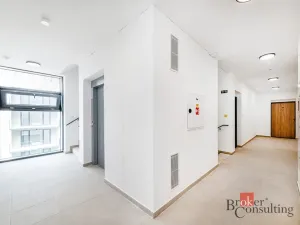 Prodej bytu 1+kk, Plzeň - Jižní Předměstí, Železná, 42 m2