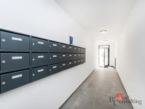 Prodej bytu 1+kk, Plzeň - Jižní Předměstí, Železná, 42 m2