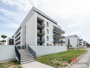 Prodej bytu 1+kk, Plzeň - Jižní Předměstí, Železná, 42 m2