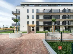 Prodej bytu 1+kk, Plzeň - Jižní Předměstí, Železná, 42 m2