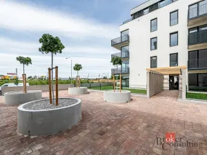 Prodej bytu 1+kk, Plzeň - Jižní Předměstí, Železná, 42 m2