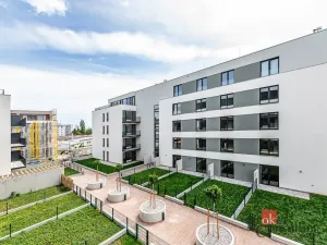 Prodej bytu 1+kk, Plzeň - Jižní Předměstí, Železná, 42 m2