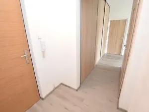 Pronájem bytu 1+1, Blatná, Na Bílé husi, 44 m2