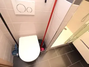 Pronájem bytu 1+1, Blatná, Na Bílé husi, 44 m2