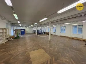 Pronájem skladu, Prostějov, Havlíčkova, 298 m2