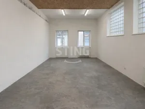 Pronájem skladu, Prostějov, Havlíčkova, 298 m2