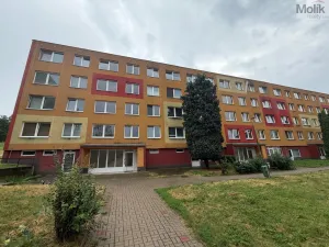 Prodej bytu 4+1, Bílina - Teplické Předměstí, Čapkova, 80 m2