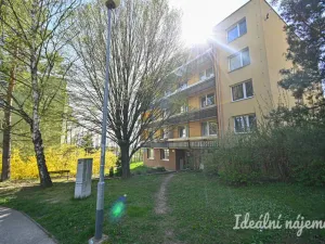 Prodej bytu 2+1, Brno, Třískalova, 51 m2