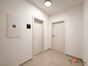 Pronájem bytu 1+kk, Plzeň - Jižní Předměstí, Železná, 37 m2