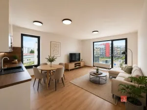 Pronájem bytu 1+kk, Plzeň - Jižní Předměstí, Železná, 37 m2