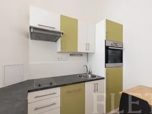 Pronájem bytu 1+1, Praha - Holešovice, Kamenická, 45 m2