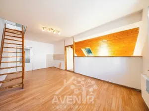 Prodej vícegeneračního domu, Liberec, Hradební, 145 m2