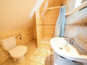 Prodej vícegeneračního domu, Liberec, Hradební, 145 m2