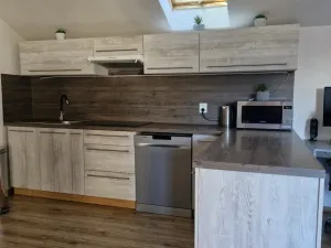Pronájem atypického bytu, Droužkovice, Rudé armády, 62 m2