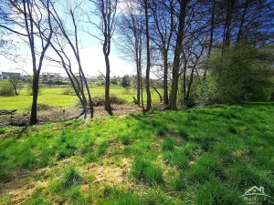 Prodej rodinného domu, Rozsochy, 372 m2