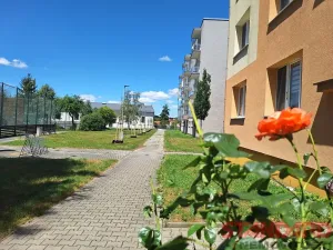 Pronájem bytu 1+kk, Dobřany, 17. listopadu, 19 m2