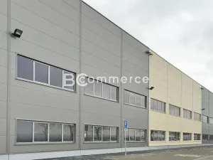 Pronájem skladu, Brno, 5250 m2
