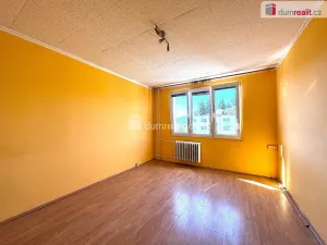 Prodej bytu 1+1, Sokolov, Mánesova, 37 m2