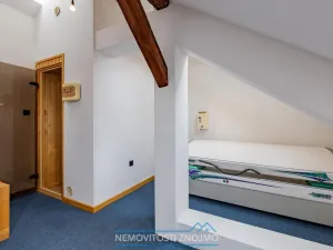 Prodej atypického bytu, Znojmo, Alšova, 310 m2