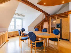 Prodej atypického bytu, Znojmo, Alšova, 310 m2