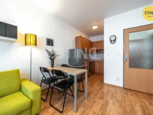Prodej bytu 1+kk, Brno, Francouzská, 30 m2