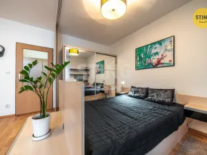 Prodej bytu 1+kk, Brno, Francouzská, 30 m2