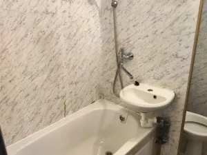Prodej bytu 1+1, Cheb, Dvořákova, 42 m2