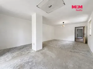 Prodej rodinného domu, Opolany - Opolánky, 108 m2