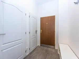 Prodej bytu 2+kk, Praha - Vinohrady, Lucemburská, 51 m2