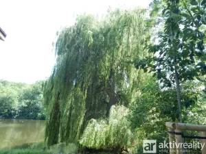 Prodej chaty, Postoloprty, 48 m2