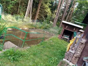 Prodej chaty, Loučovice, 30 m2