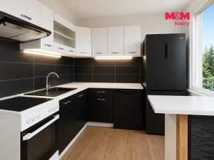 Prodej bytu 4+1, Litvínov - Janov, Luční, 80 m2