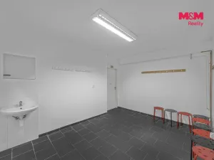 Prodej obchodního prostoru, Hradec Králové - Pražské Předměstí, Seydlerova, 195 m2