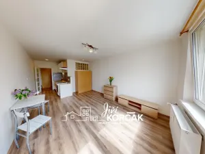 Prodej bytu 1+kk, Letovice, Průchodní, 28 m2
