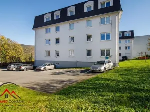 Pronájem bytu 1+1, Vrbno pod Pradědem, Palackého, 39 m2