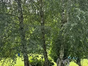 Prodej rodinného domu, Malenovice, 140 m2