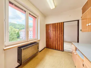 Prodej bytu 2+1, Žacléř, K. Čapka, 53 m2