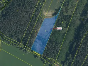 Dražba lesa, Přílepy, 7060 m2