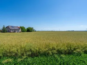 Prodej pozemku pro bydlení, Stěžery, Polní, 14692 m2