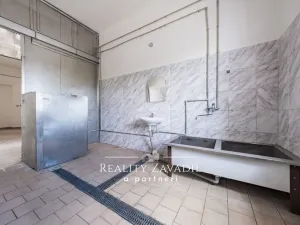 Prodej rodinného domu, Koleč, 940 m2