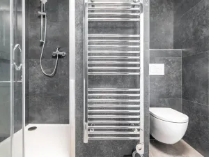 Pronájem bytu 2+kk, České Budějovice - České Budějovice 3, Čéčova, 53 m2