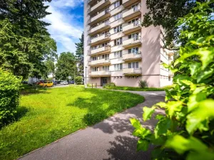 Pronájem bytu 2+kk, České Budějovice - České Budějovice 3, Čéčova, 53 m2