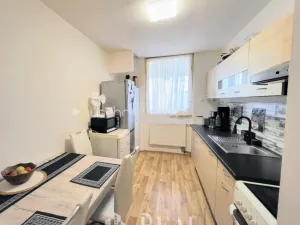Prodej bytu 2+1, Černčice, Karla Šrůmy, 59 m2