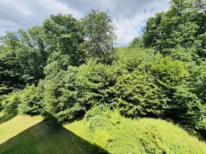 Prodej bytu 3+1, Litvínov - Horní Litvínov, Tylova, 78 m2